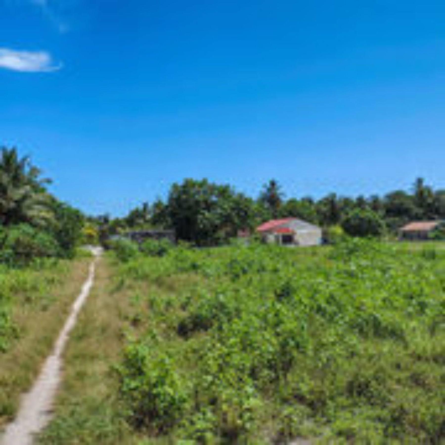 Feridhoo Inn מראה חיצוני תמונה